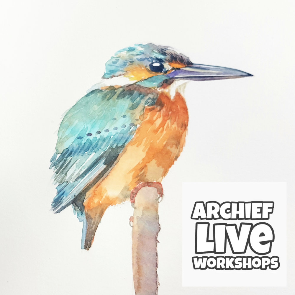 ijsvogellive